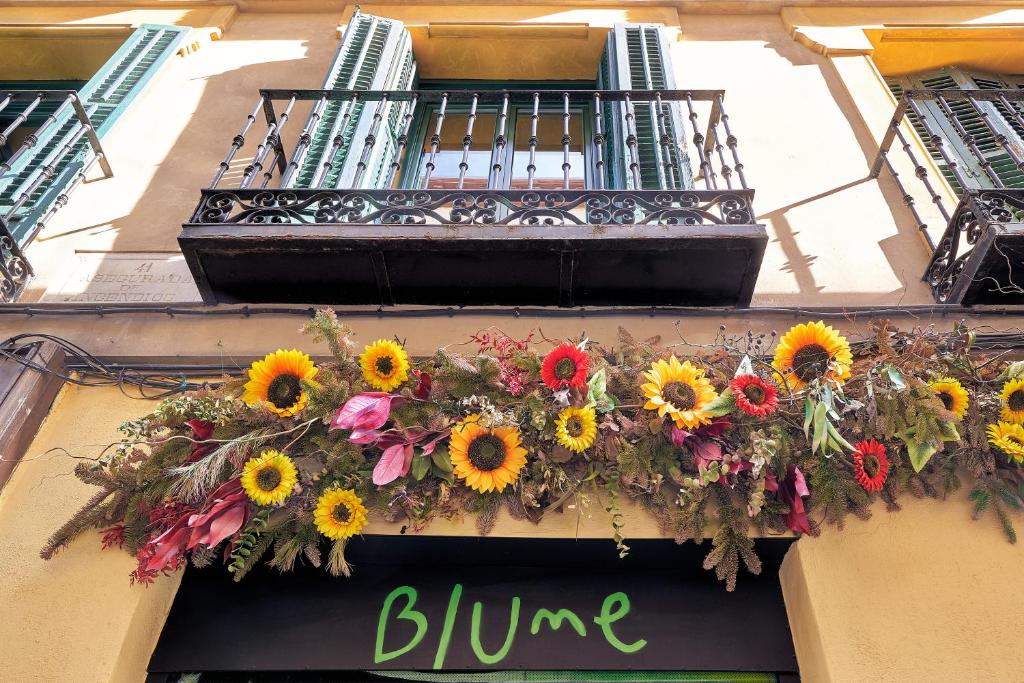 Blume Cruz Apartamentos