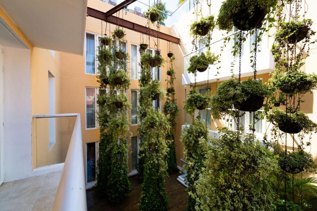 dal travel Nacar Hotel Cartagena, Curio Collection by Hilton