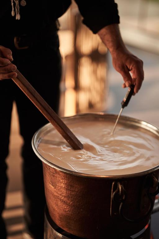 NEMA Design Hotel & Spa - Adults Only