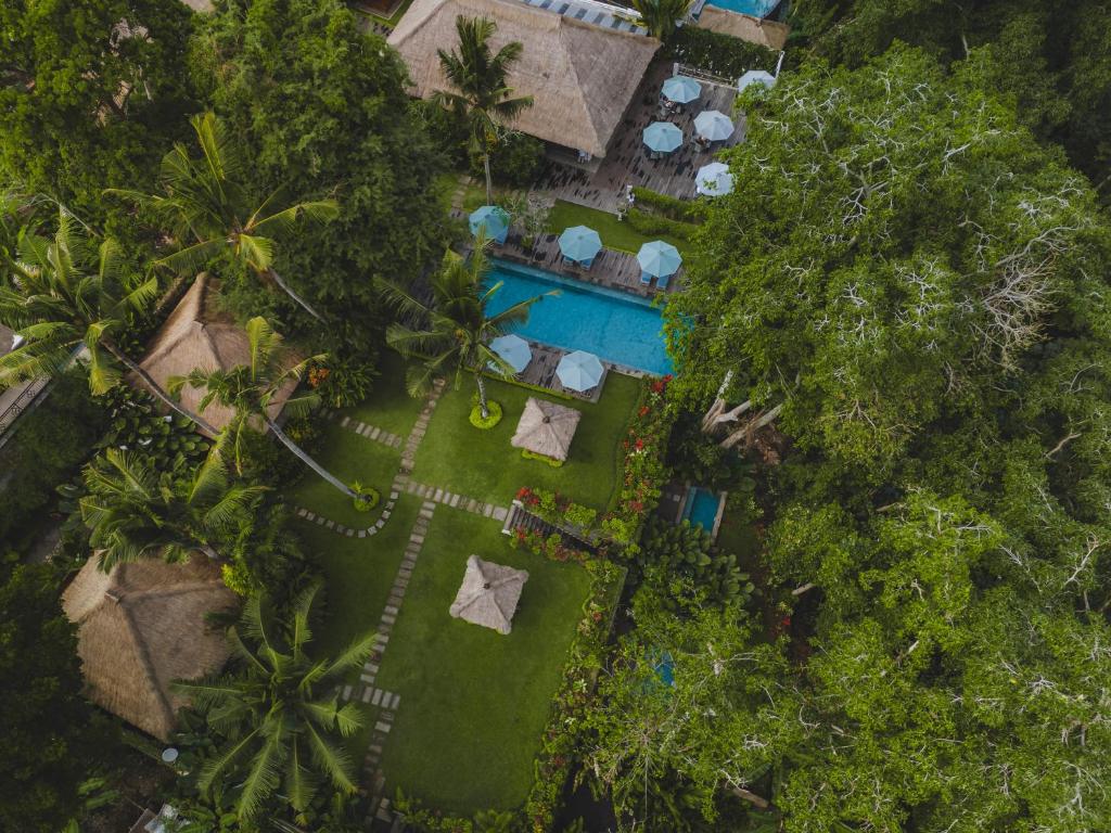 dal travel The Hidden Paradise Ubud