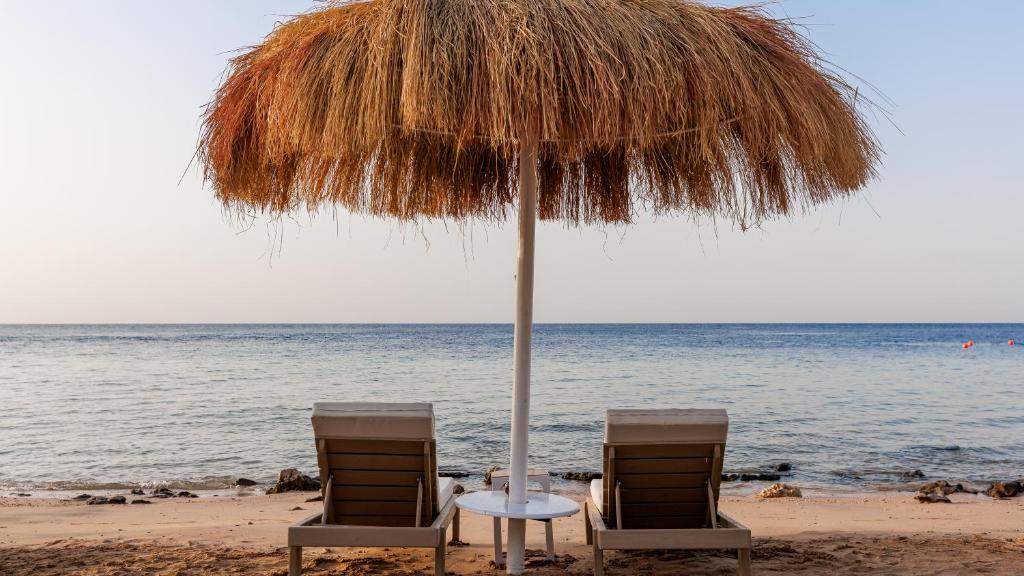 dal travel Sunrise Remal Beach Resort (Ex. Melton Tiran)