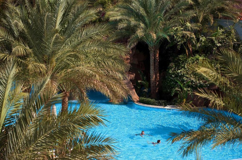 dal travel Baron Palms Resort Sharm El Sheikh  (Adults Only 16+)