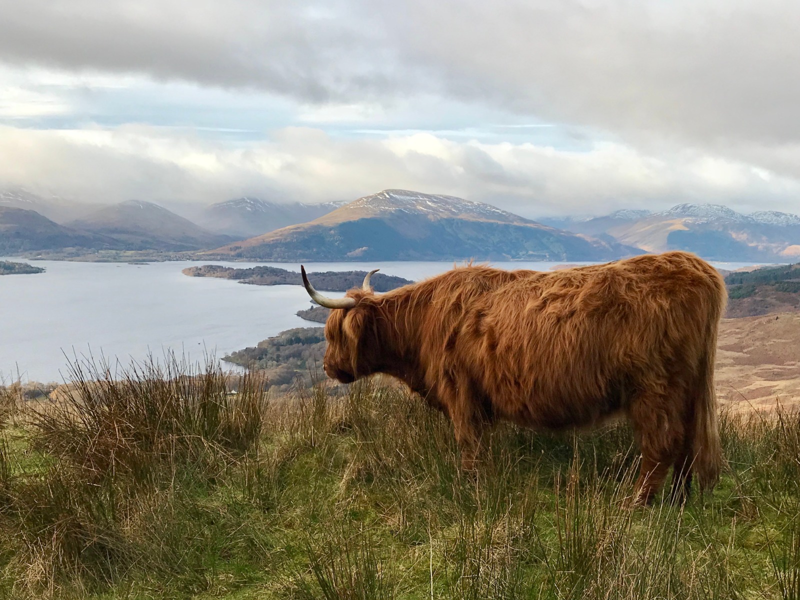 Marele Tur al Scoției