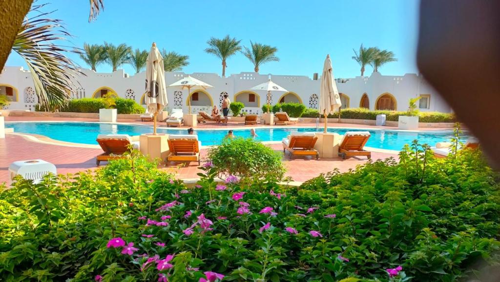 dal travel Domina Coral Bay Prestige Resort