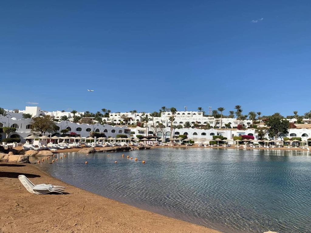 dal travel Domina Coral Bay Prestige Resort
