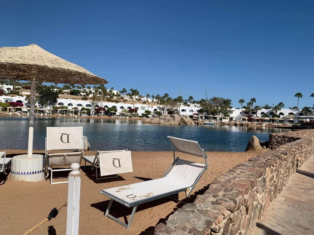 dal travel Domina Coral Bay Prestige Resort