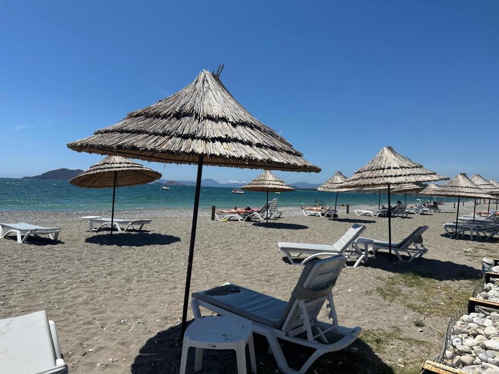 Hotel Defne Beach Makri ( ex Daphne Residence)