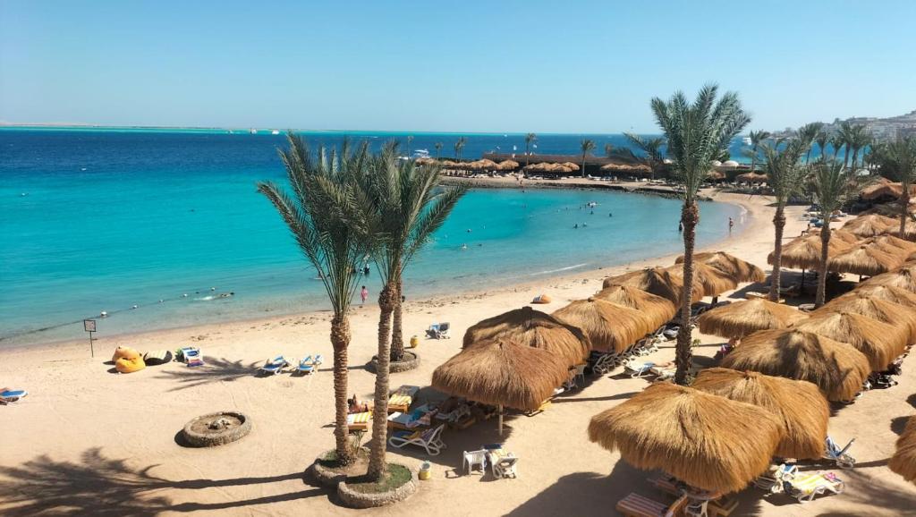 dal travel Regina Resort & Aquapark (ex: ZYA Regina Resort and Aqua Park)