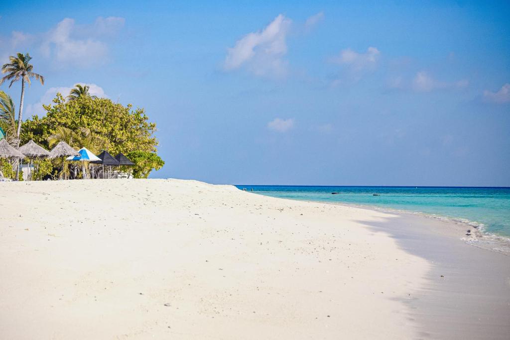 dal travel Arrival Beach and Spa