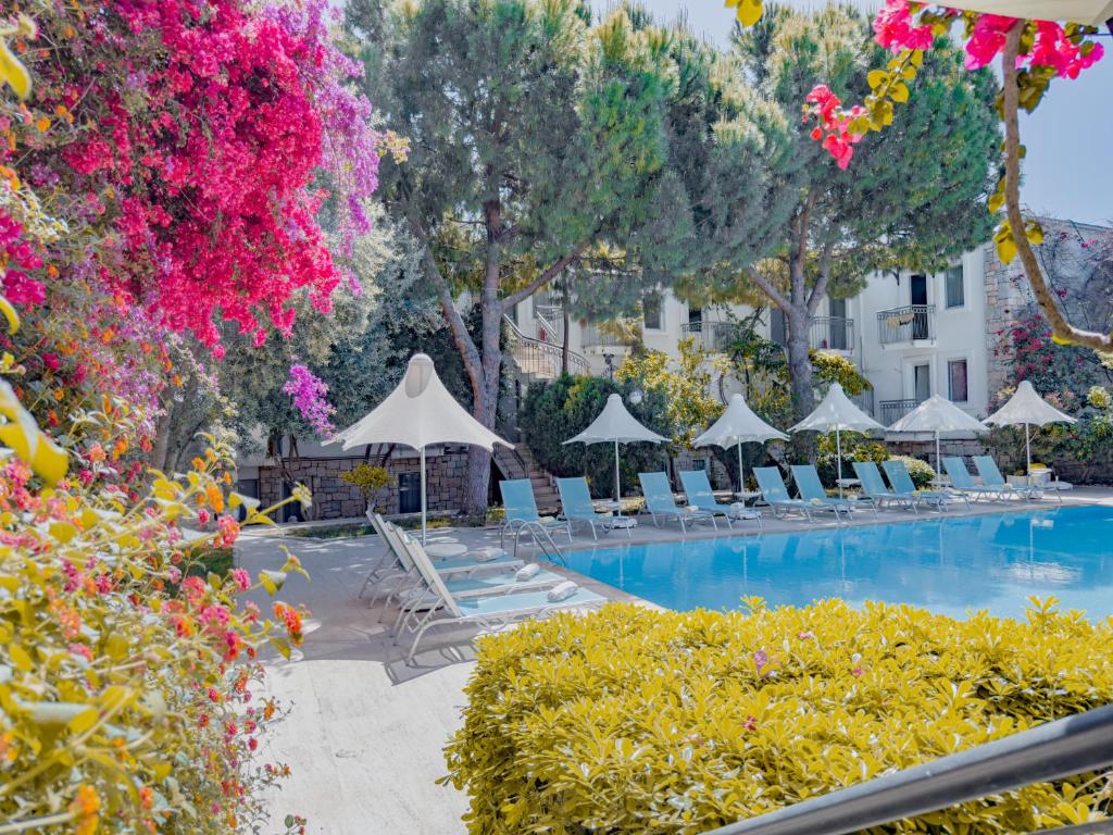 dal travel Moonshine Hotel & Suites