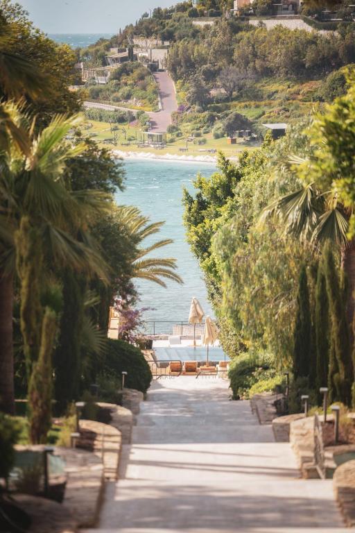 dal travel Ruins Luxury Resort - Adults Only